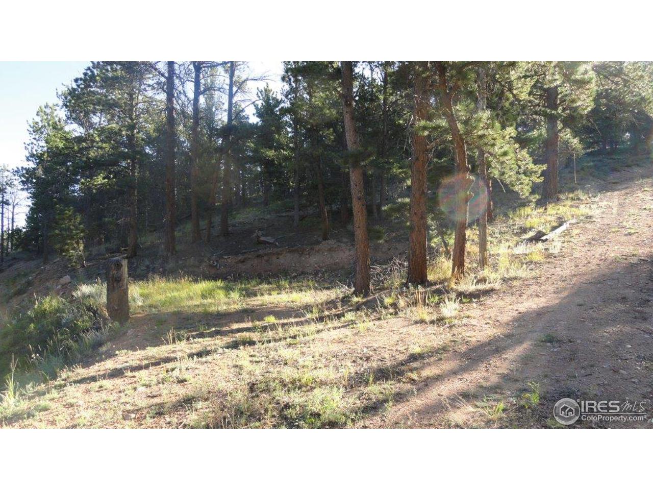 495 Crow Road Red Feather Lakes, CO 80545 - Photo 5 of 19 Lower pad