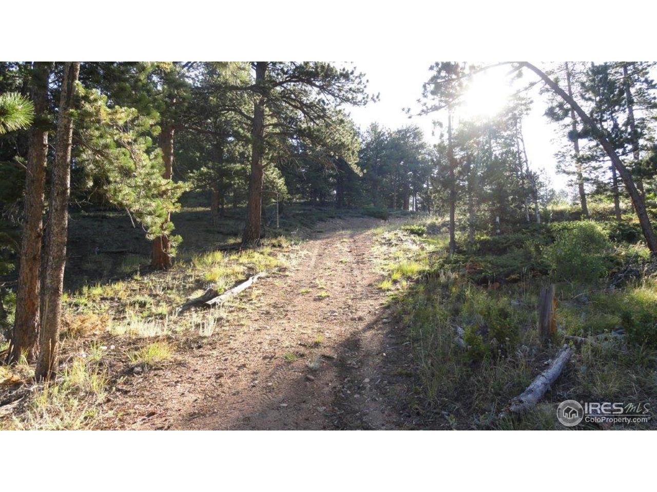 495 Crow Road Red Feather Lakes, CO 80545 - Photo 6 of 19 Drive to upper pad