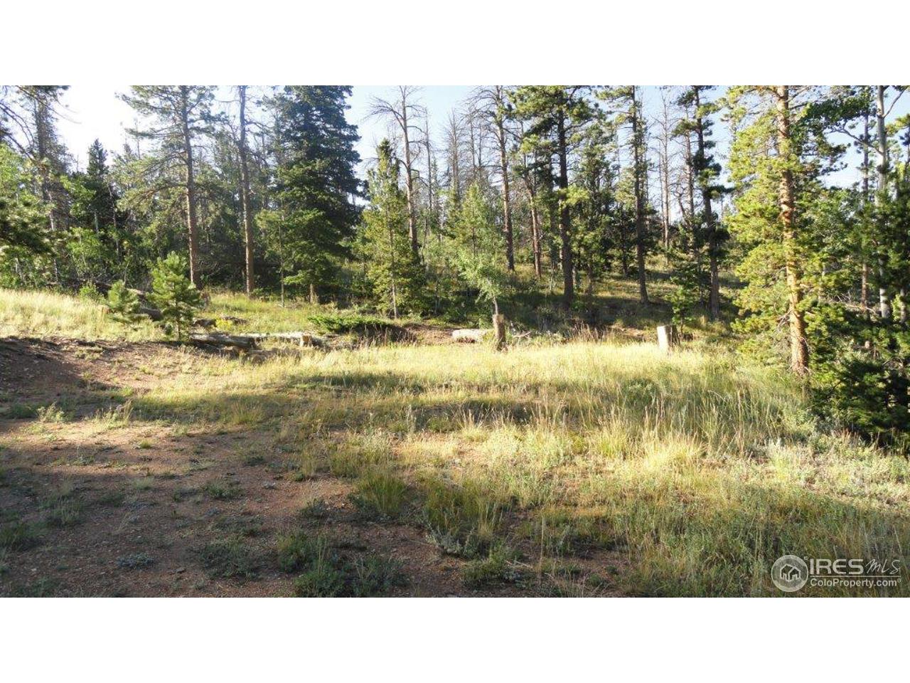 495 Crow Road Red Feather Lakes, CO 80545 - Photo 7 of 19 Upper pad