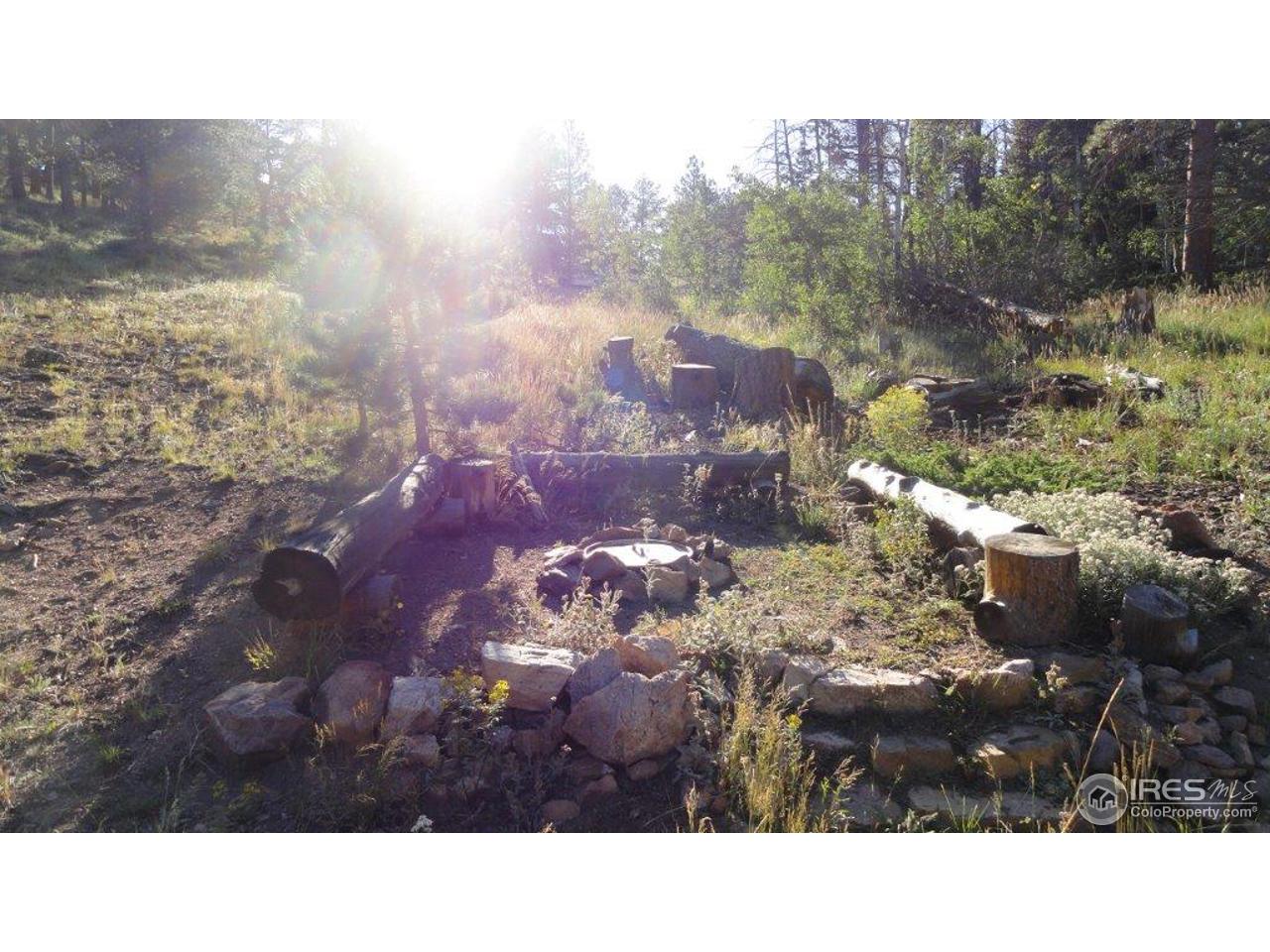 495 Crow Road Red Feather Lakes, CO 80545 - Photo 8 of 19 Fire pit