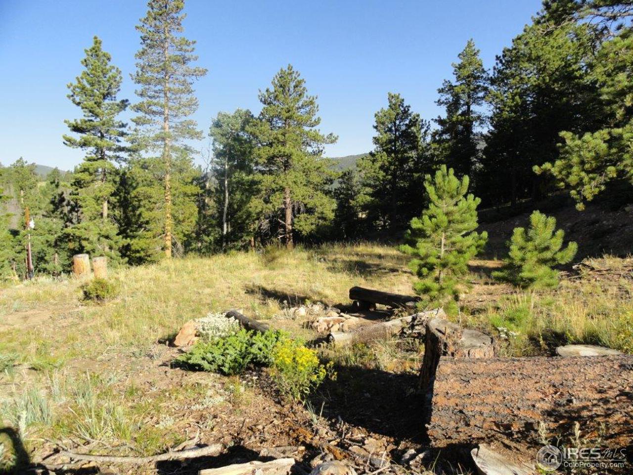 495 Crow Road Red Feather Lakes, CO 80545 - Photo 9 of 19 Fire pit