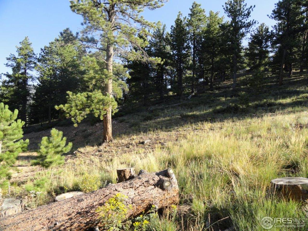 495 Crow Road Red Feather Lakes, CO 80545 - Photo 10 of 19 Gallery Image 10