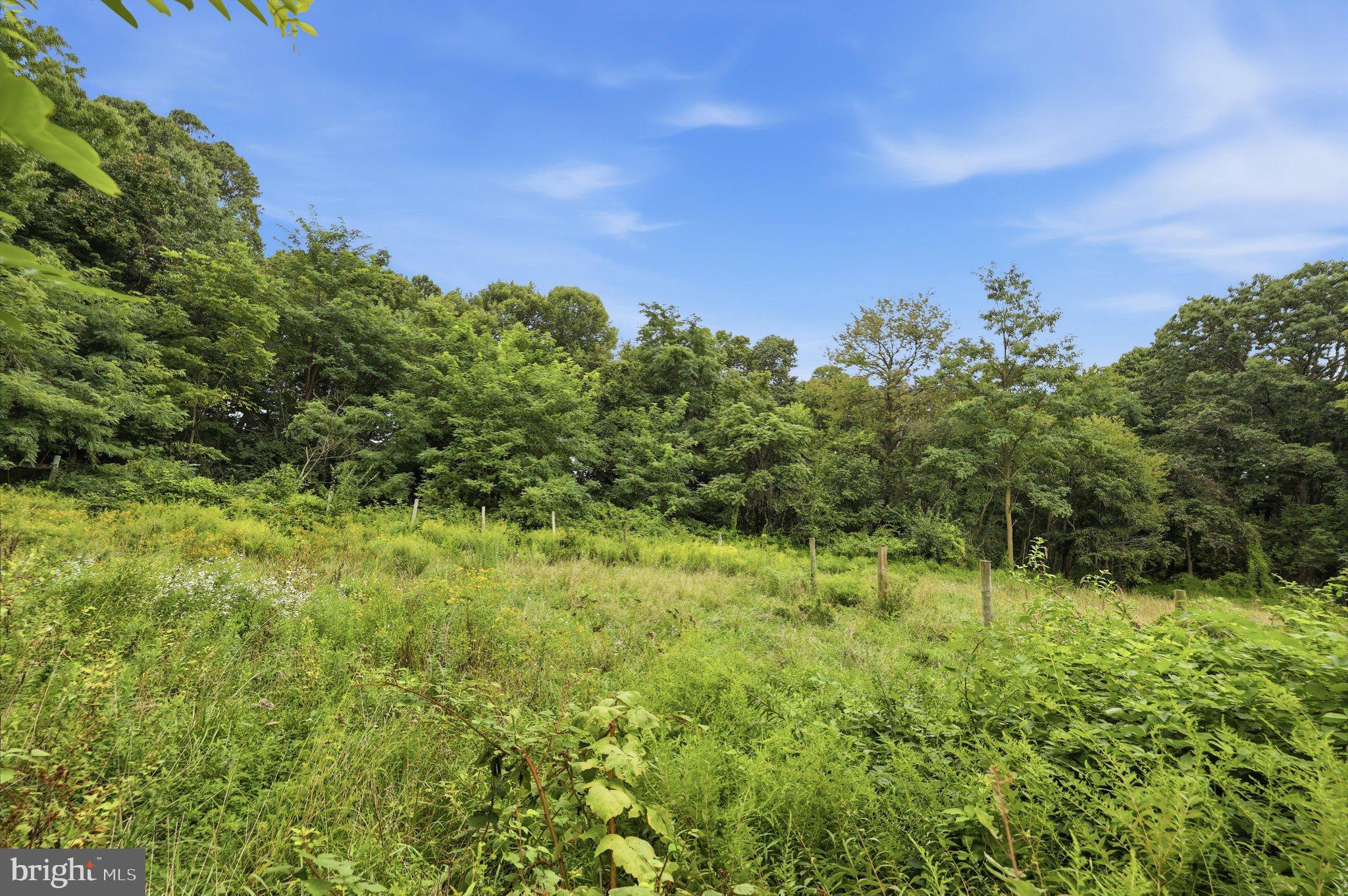 14417 Ridenour Road Smithsburg, MD 21783 - Photo 40 of 41 Land