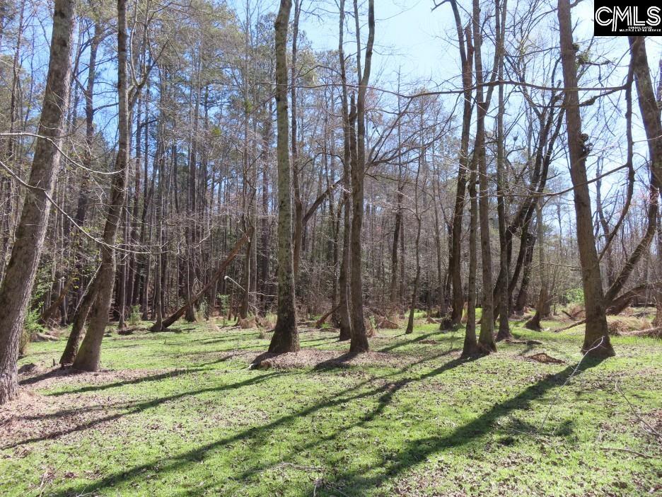 1672 Dixired Road Leesville, SC 29070 - Photo 25 of 67
