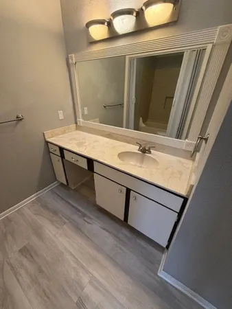 a bathroom with a sink and a mirror