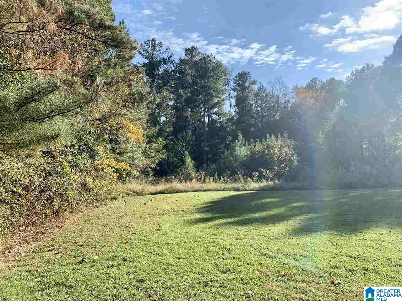 307 East Byrd Road Hartselle, AL 35640 - Photo 21 of 24