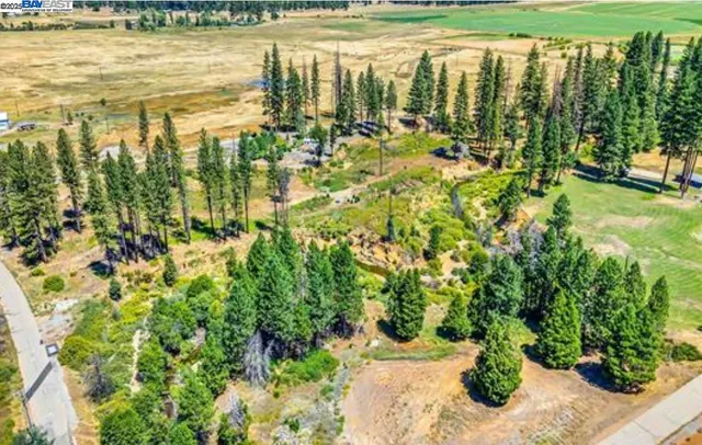 $1,700,000 | 185 Spirit Springs, Greenville, CA 95947