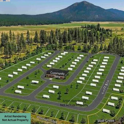 a view of a yard with plants