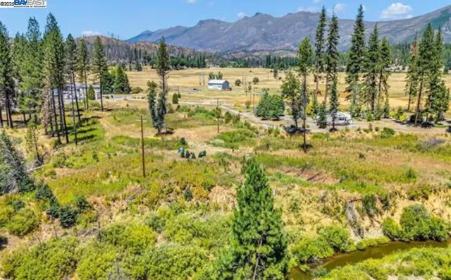 a view of a yard with a tree
