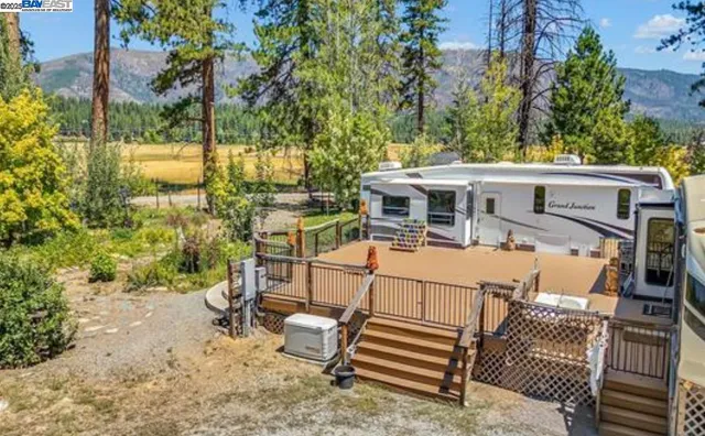 a plant that is in front of flowers