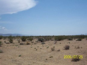 0 Legend Ranch Road Golden Valley, AZ 86413 - Photo 3 of 3 Additional Photo