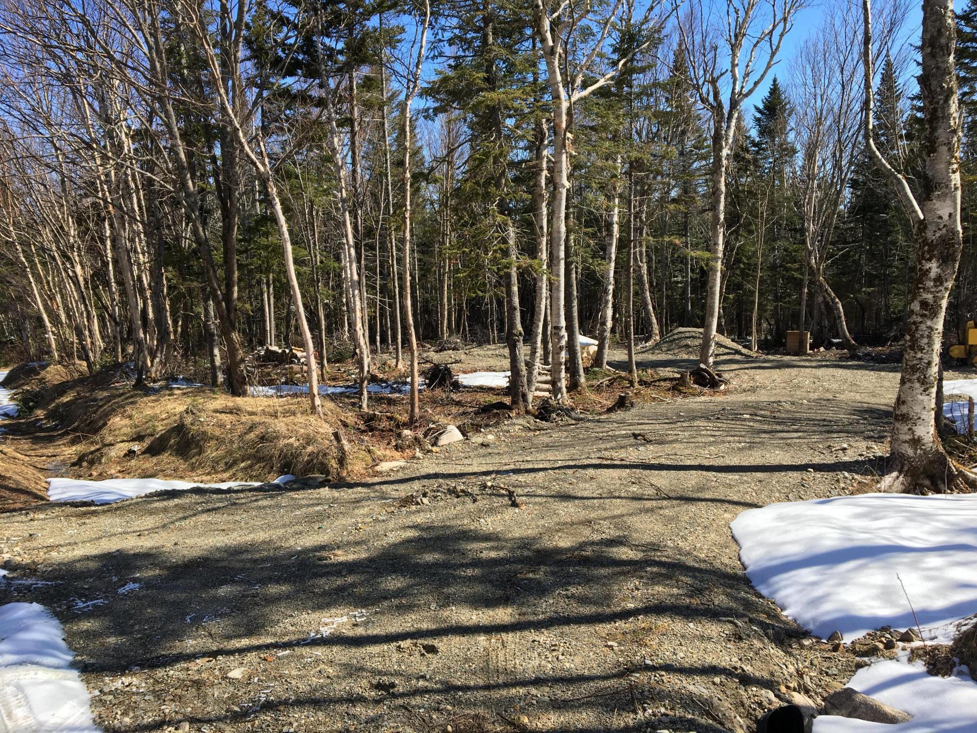 Lot 8 East Lot Road West Forks, ME 04985 - Photo 10 of 12 64194F68-1B03-413F-8DB4-BCEF33B15668