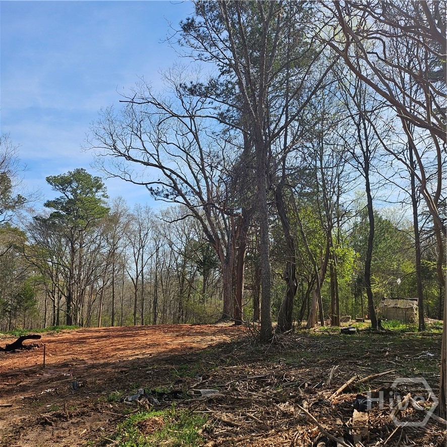 6291 Colham Ferry Road Watkinsville, GA 30677 - Photo 3 of 9 Gallery Image 3