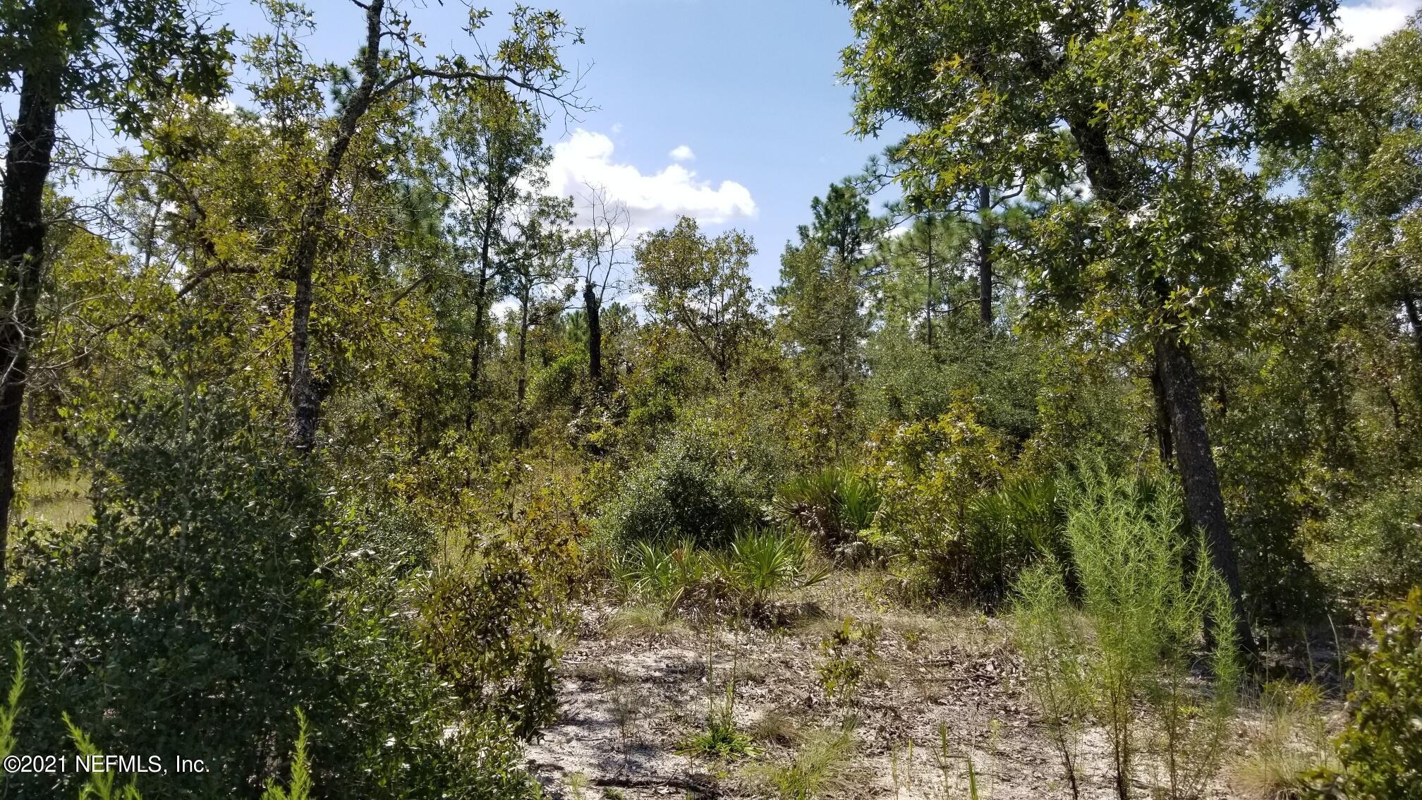 5892 Crane Court Keystone Heights, FL 32656 - Photo 11 of 18 Lot 8