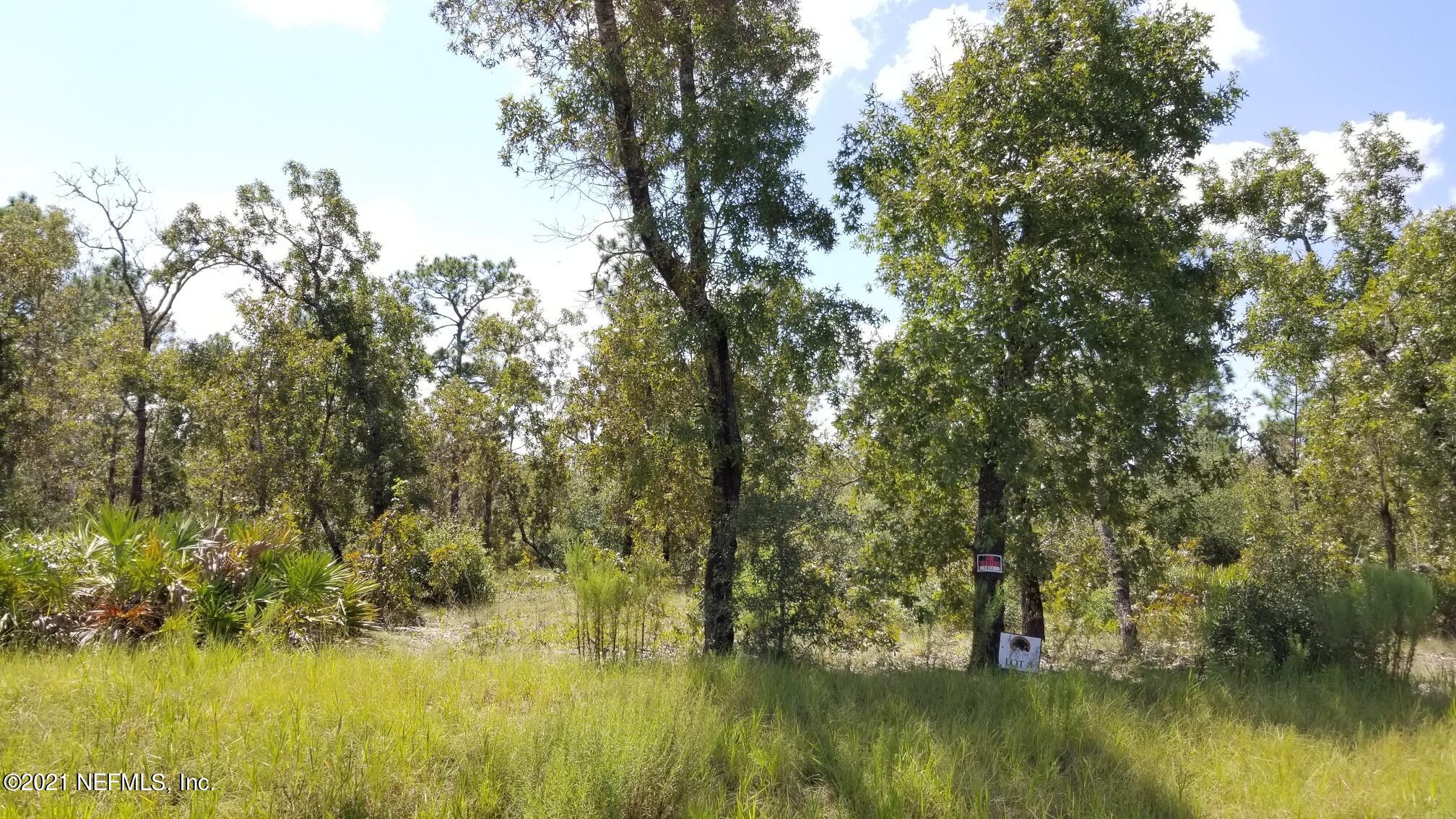 5892 Crane Court Keystone Heights, FL 32656 - Photo 12 of 18 Lot 8