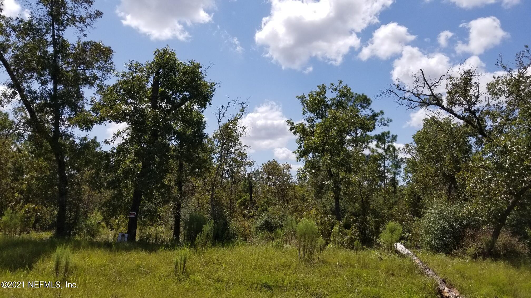 5892 Crane Court Keystone Heights, FL 32656 - Photo 13 of 18 Lot 8