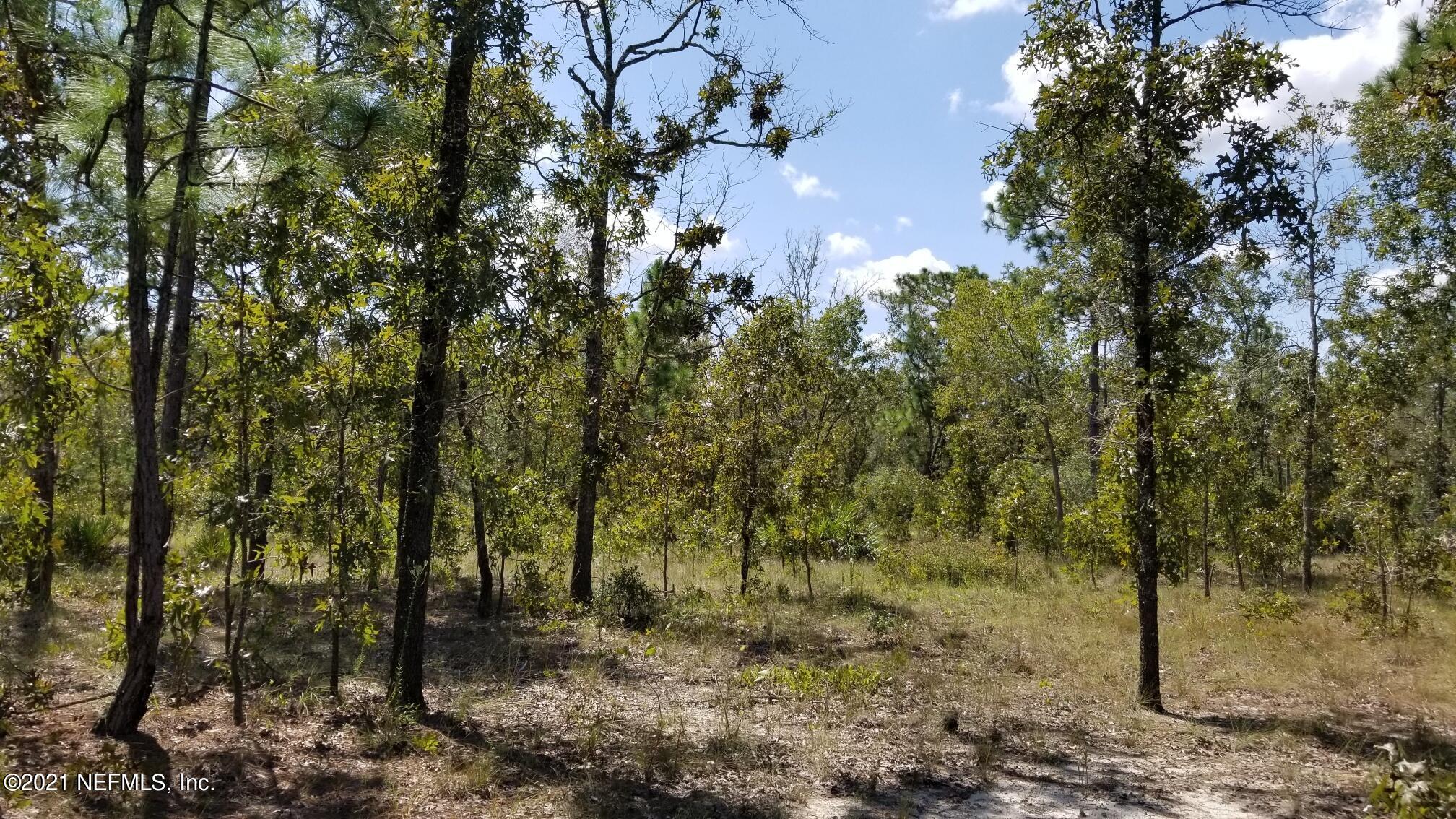 5892 Crane Court Keystone Heights, FL 32656 - Photo 2 of 18 Lot 8
