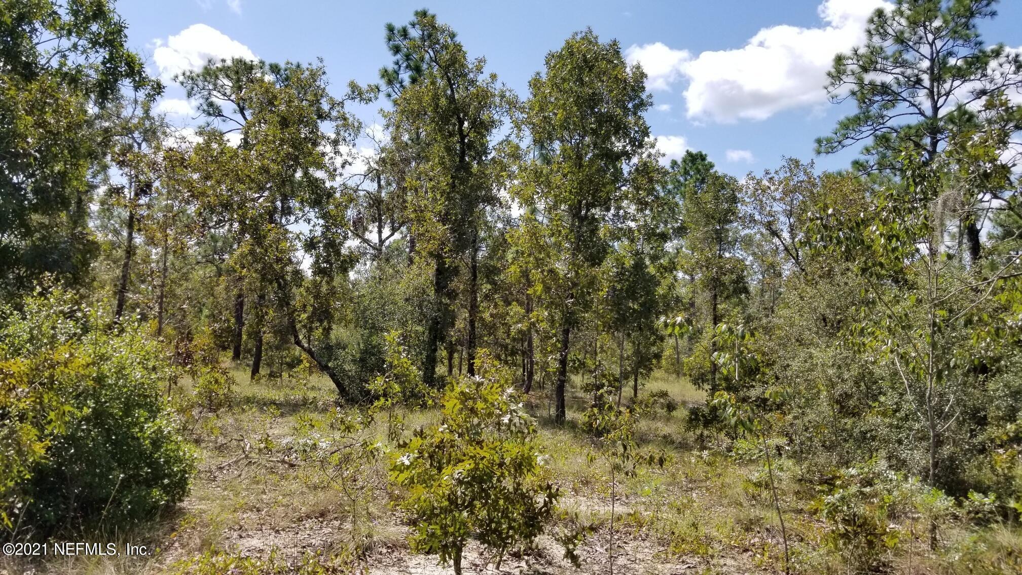5892 Crane Court Keystone Heights, FL 32656 - Photo 3 of 18 Lot 8