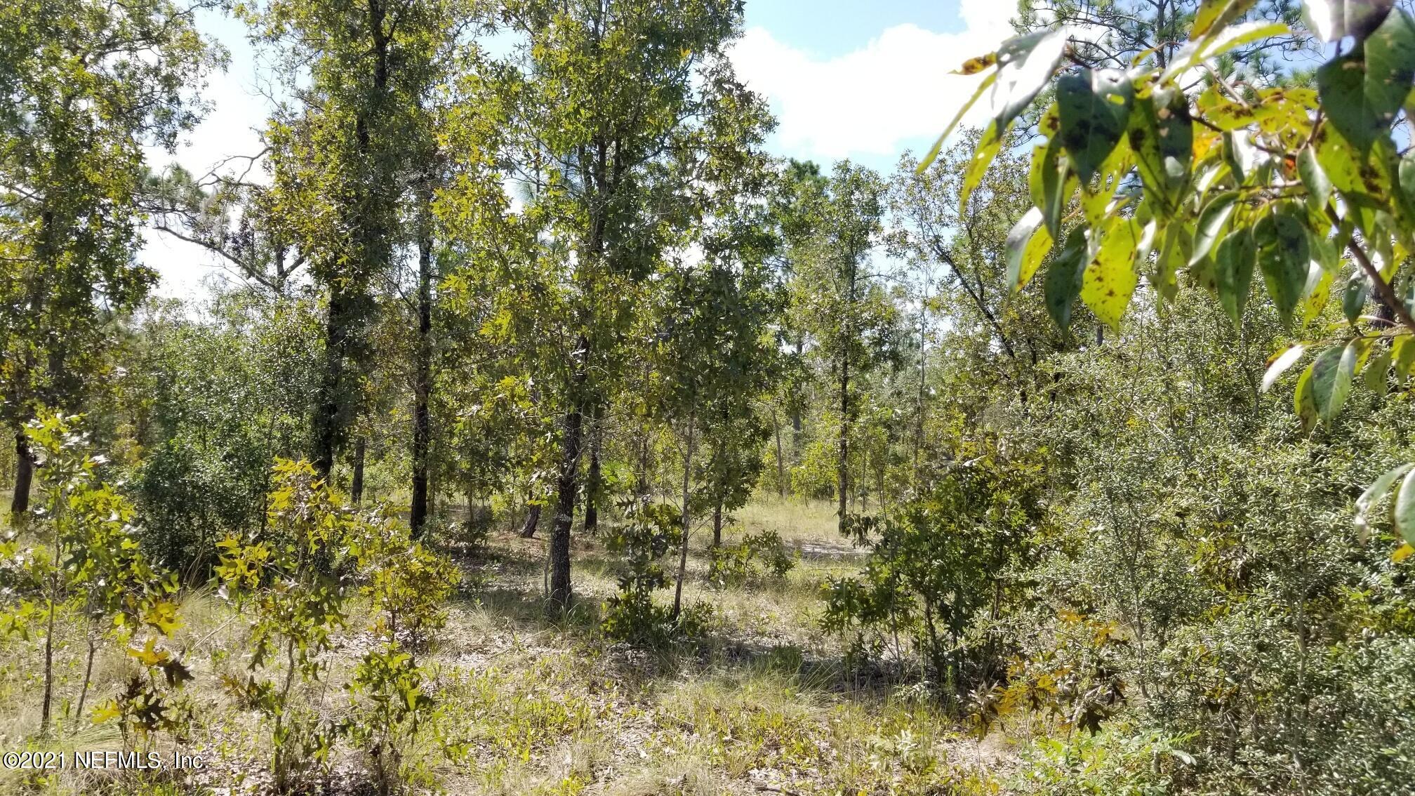 5892 Crane Court Keystone Heights, FL 32656 - Photo 4 of 18 Lot 8