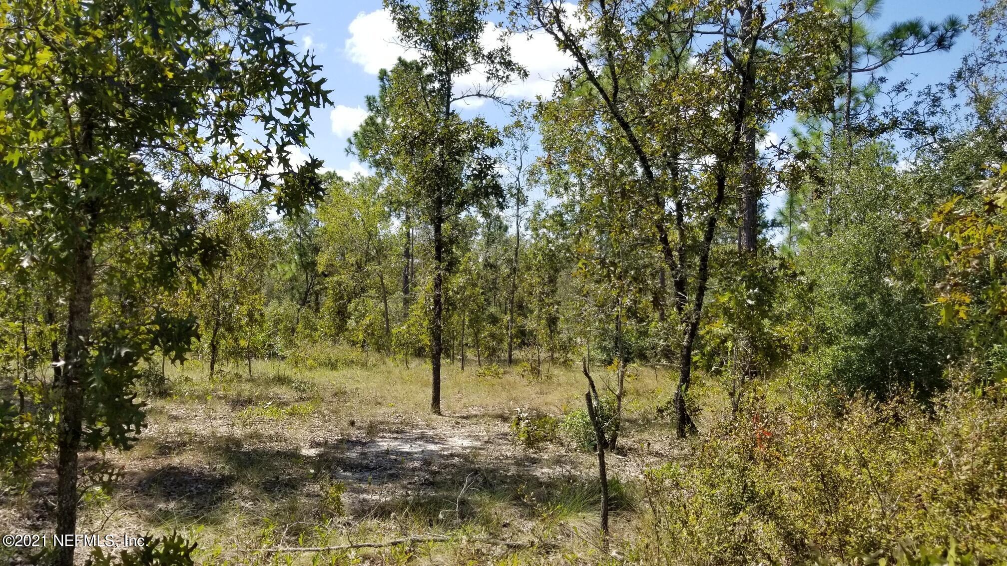 5892 Crane Court Keystone Heights, FL 32656 - Photo 5 of 18 Lot 8