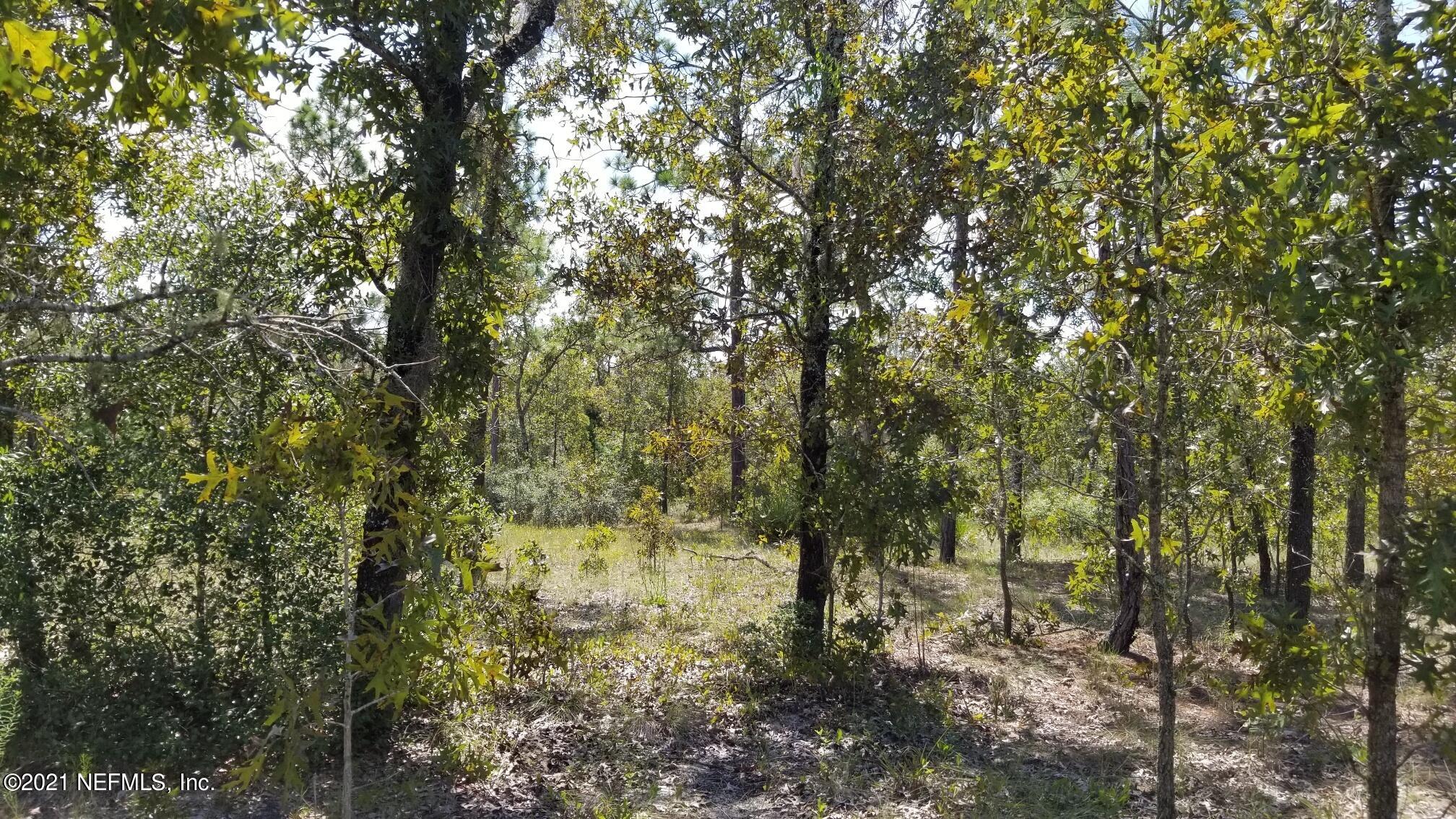 5892 Crane Court Keystone Heights, FL 32656 - Photo 6 of 18 Lot 8