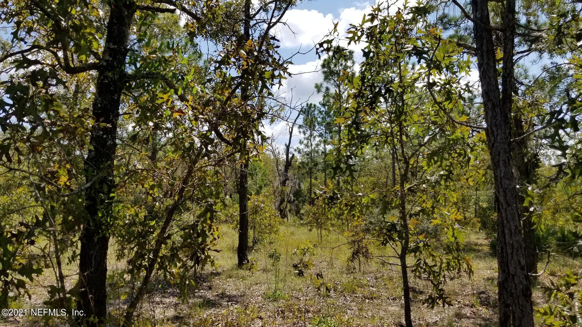 5892 Crane Court Keystone Heights, FL 32656 - Photo 7 of 18 Lot 8