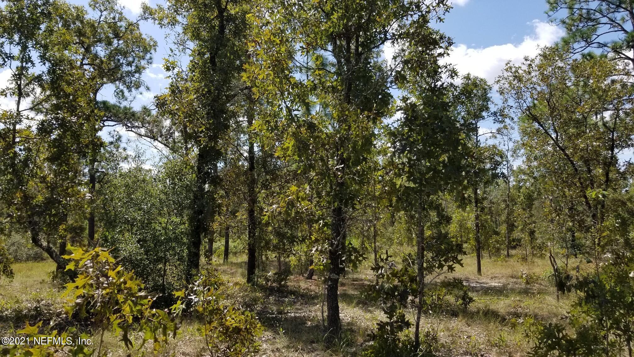 5892 Crane Court Keystone Heights, FL 32656 - Photo 8 of 18 Lot 8