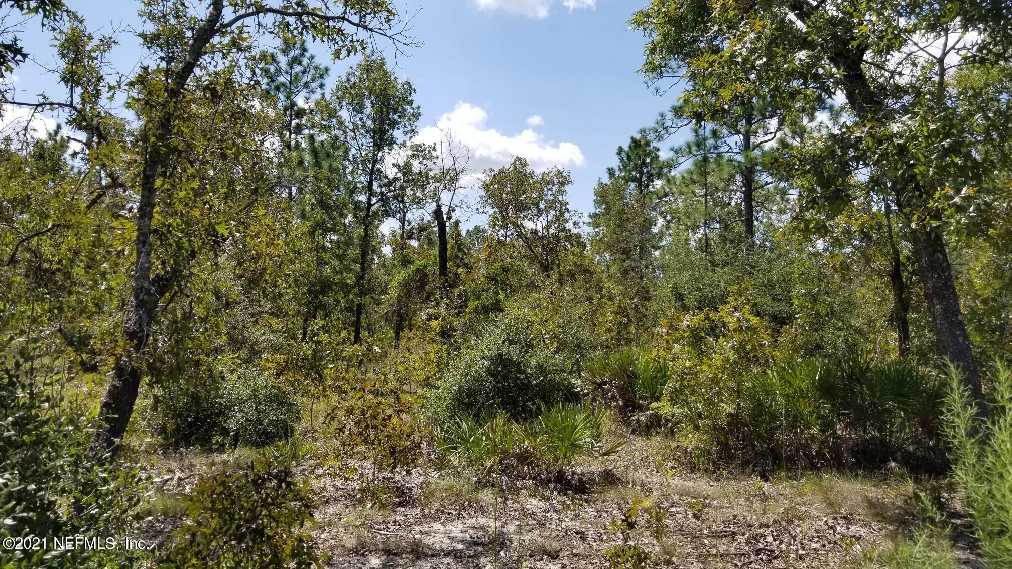 5892 Crane Court Keystone Heights, FL 32656 - Photo 10 of 18 Lot 8