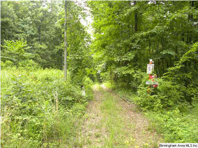 11618 Giles Road, Unit 14ACRES Woodstock, AL 35188 - Photo 5 of 11