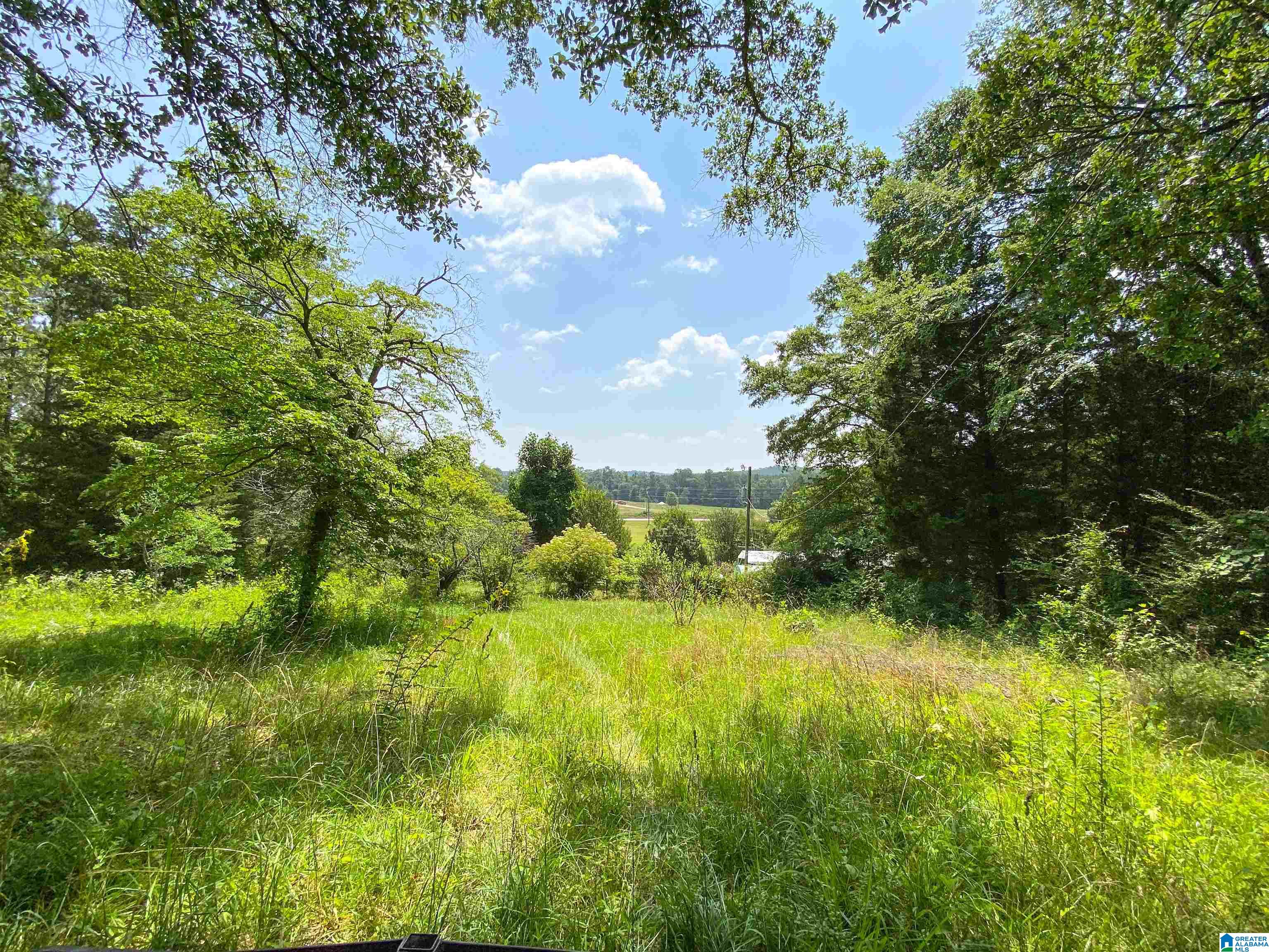 1505 Camp Creek Road Cropwell, AL 35054 - Photo 29 of 48