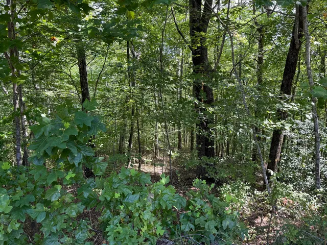 $320,000 | 538 Pine Hill Cemetery Road, Whitwell, TN 37397