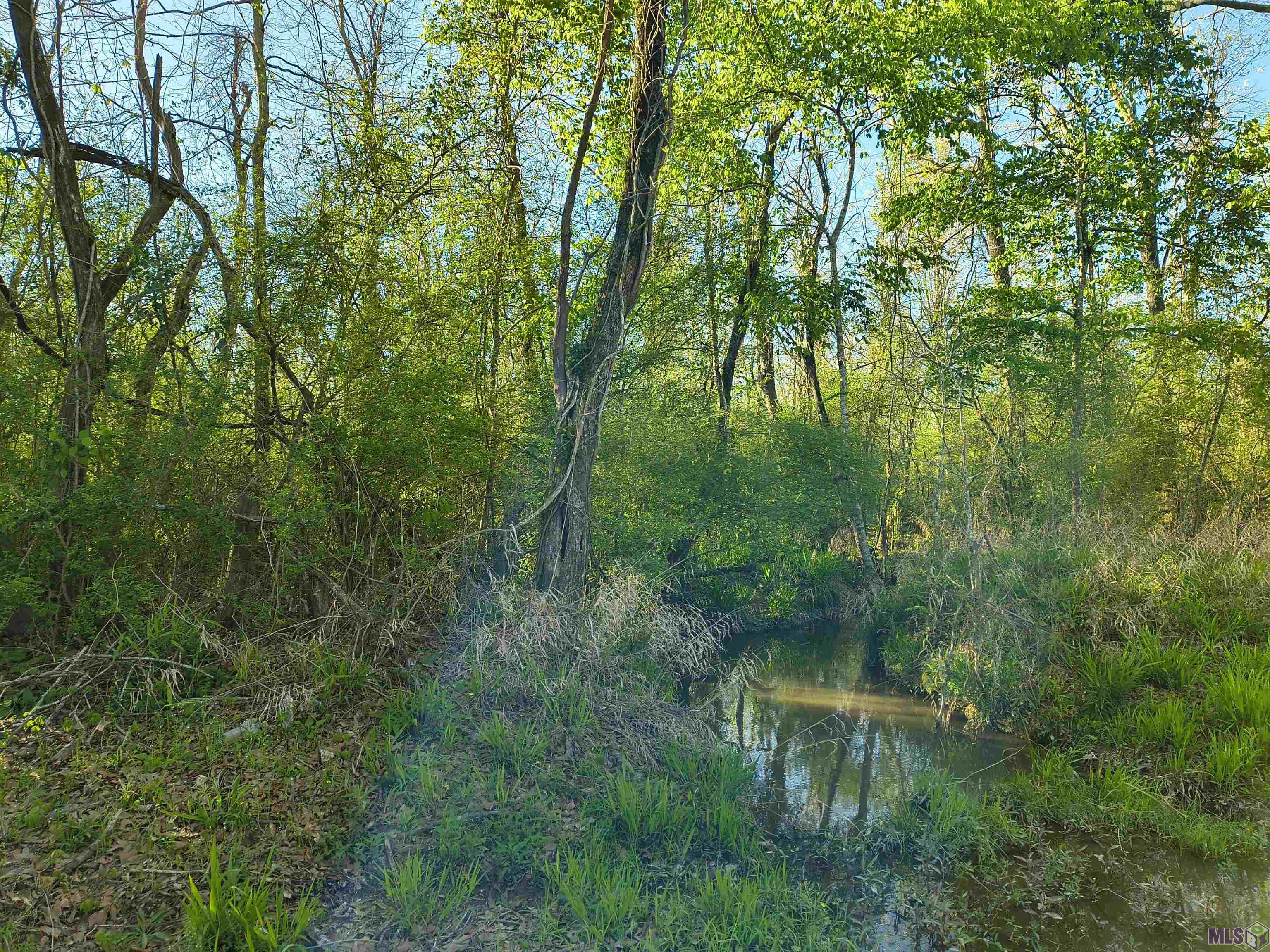 Tbd Tbd Brian Road Zachary, LA 70791 - Photo 2 of 8