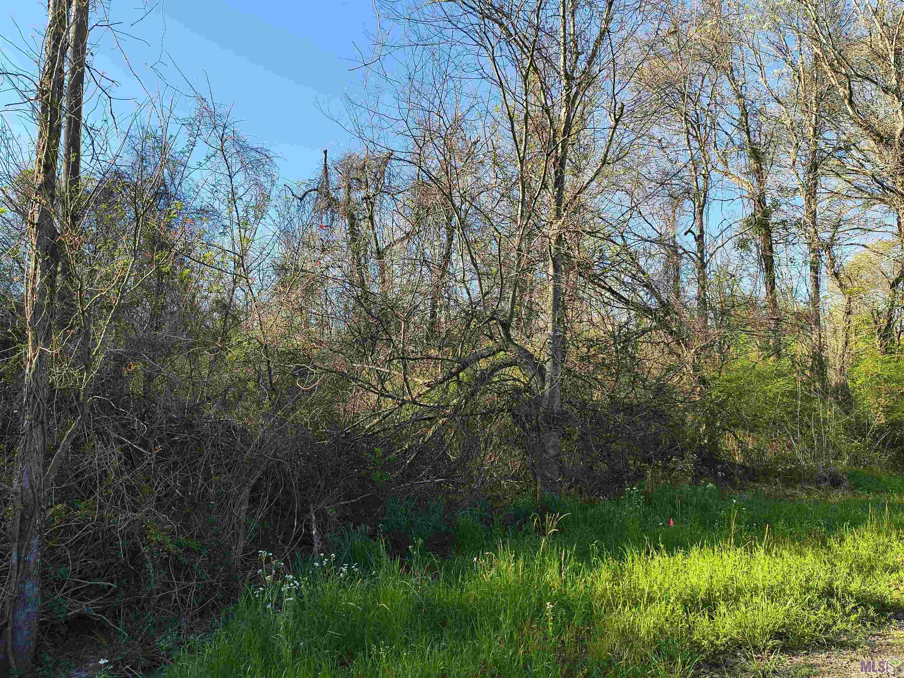 Tbd Tbd Brian Road Zachary, LA 70791 - Photo 4 of 8