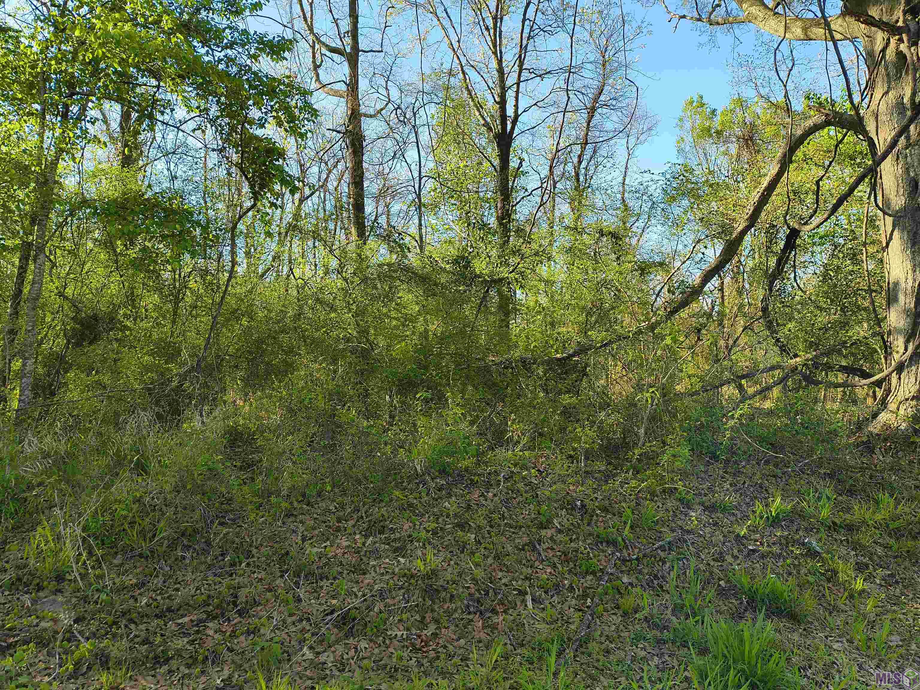 Tbd Tbd Brian Road Zachary, LA 70791 - Photo 8 of 8