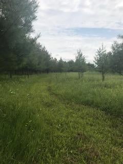 16125 Reider School Road Lachine, MI 49753 - Photo 43 of 44 Gallery Image 43