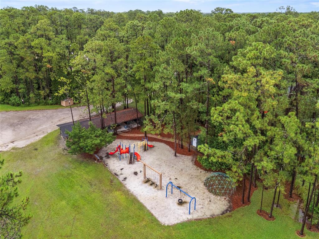 14612 Bray Road Orlando, FL 32832 - Photo 32 of 33 a garden with trees in the background