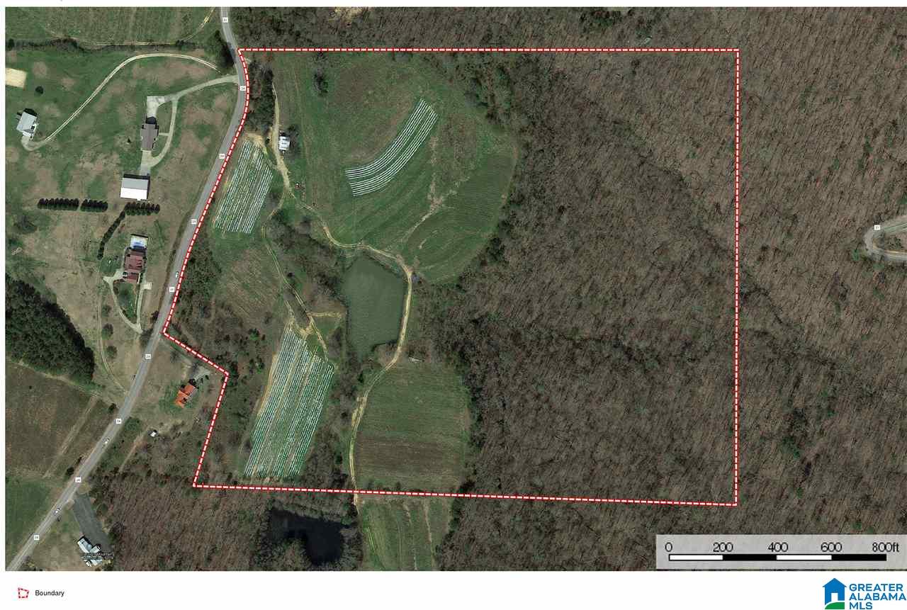0 County Road 24, Unit 49 / ACRES Springville, AL 35146 - Photo 2 of 18