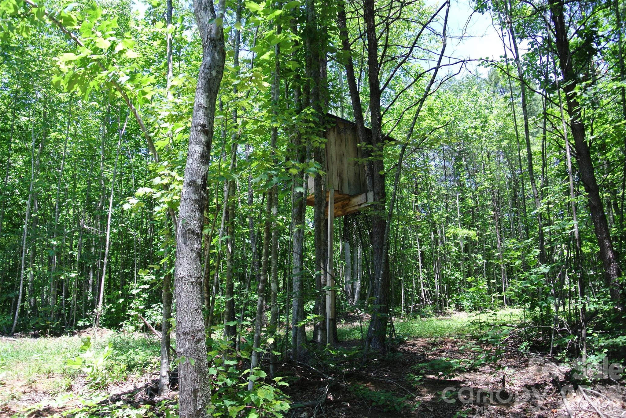779 Thermal City Road Union Mills, NC 28167 - Photo 33 of 48