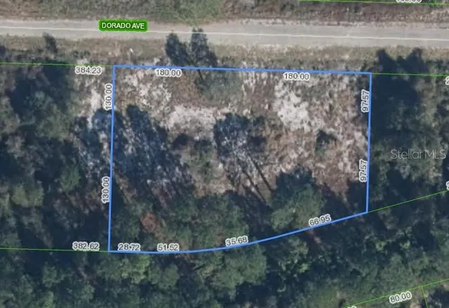 a view of a forest from a balcony