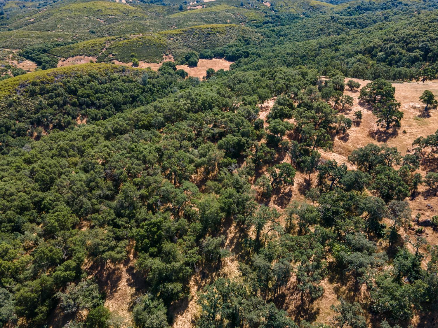 0 Stony Creek Road Ione, CA 95640 - Photo 58 of 70