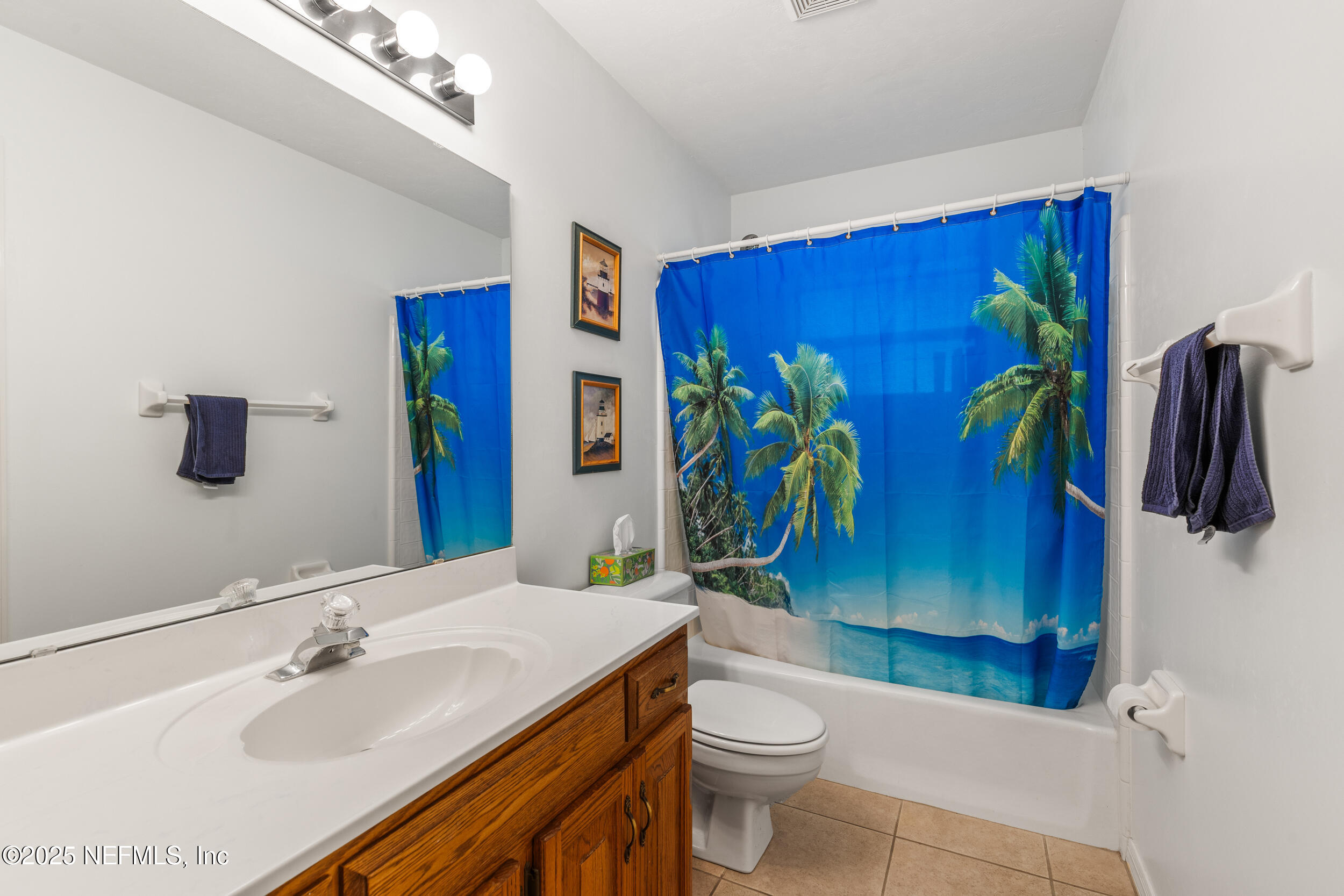 8485 Lilly Lake Road Melrose, FL 32666 - Photo 28 of 44 Downstairs Full bath