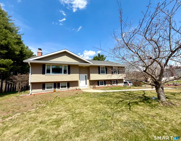 a view of a house with a large tree and a yard