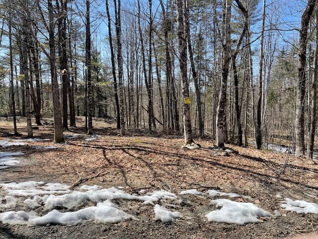 139 McNaughton Hill Road Sangerville, ME 04479 - Photo 4 of 6 IMG_6003