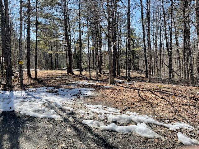 139 McNaughton Hill Road Sangerville, ME 04479 - Photo 6 of 6 IMG_6002