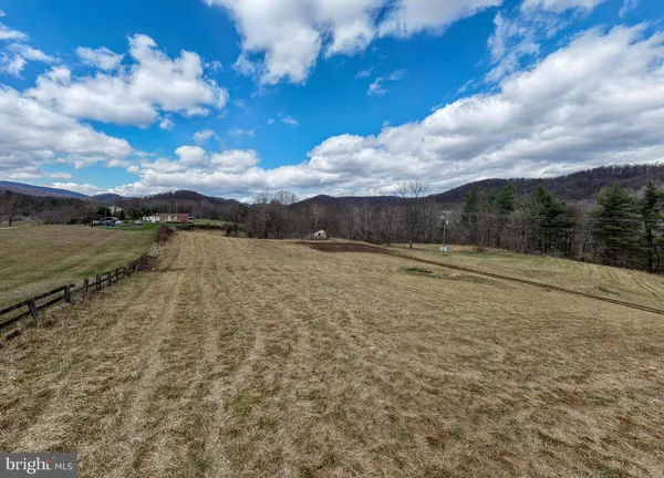 a view of a yard with large trees