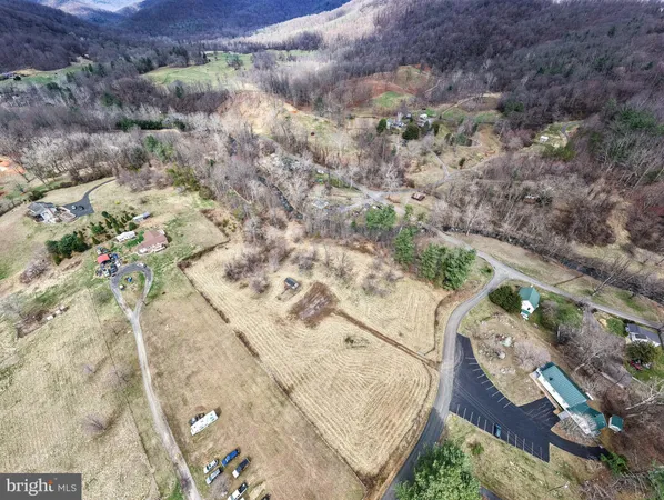 a view of a dry yard with trees and flowers