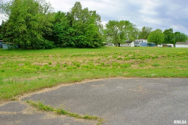 a view of a field with trees in background