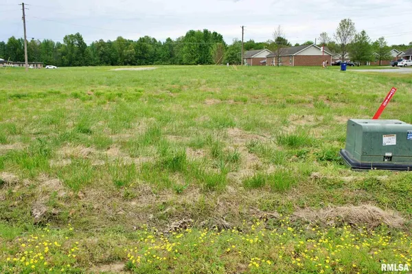 a view of a grassy field with trees