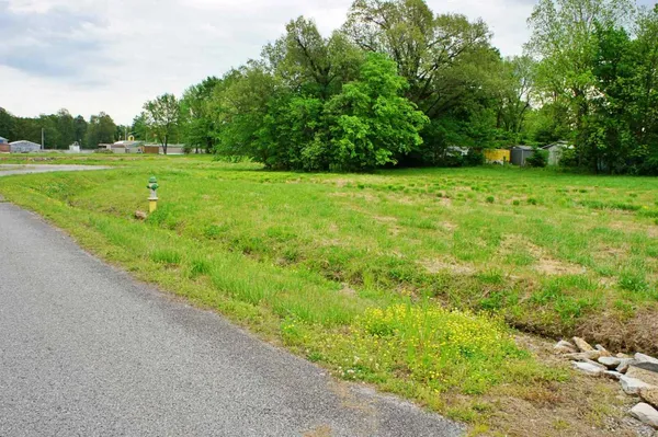 a view of a grassy field with trees in the background