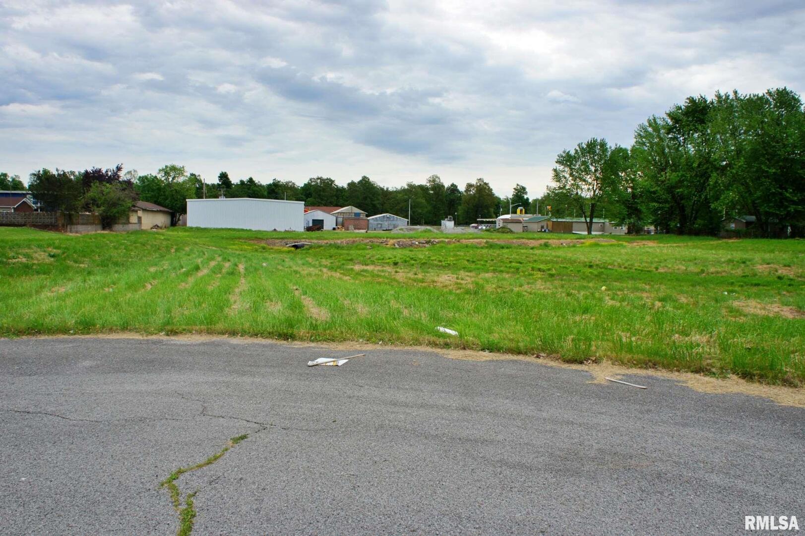 0 Rushing Drive Metropolis, IL 62960 - Photo 9 of 13 a view of a yard with potted plants and big trees